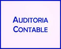 Auditoria Contable